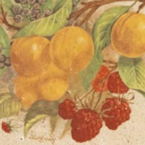 Monroe Salt Works Raspberries, Blueberries and Apricots Large Dinner Plate 11" - Picture 6 of 9